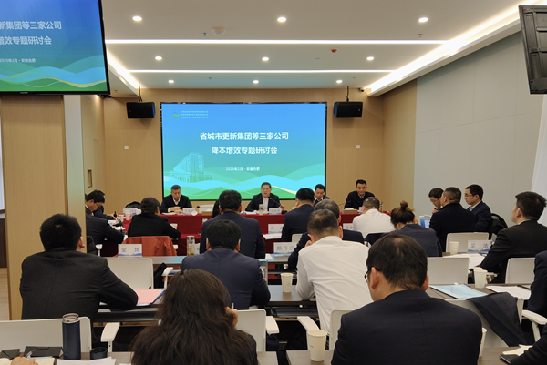 聚力攻坚降成本 深化改革增效益——盛煌娱乐集团等三家公司召开降本增效专题研讨会